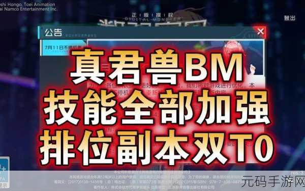 数码宝贝新世纪T0阵容推荐,重塑战斗格局的顶尖策略