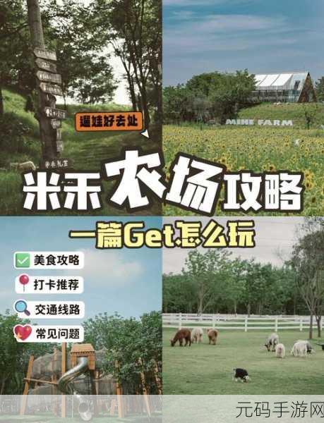 农场乐多多升级攻略,快速提升等级全解析