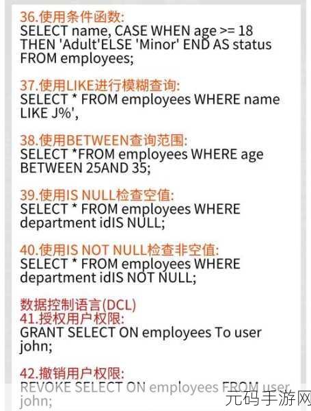 探索 SQL Point 在数据库里的神奇用途