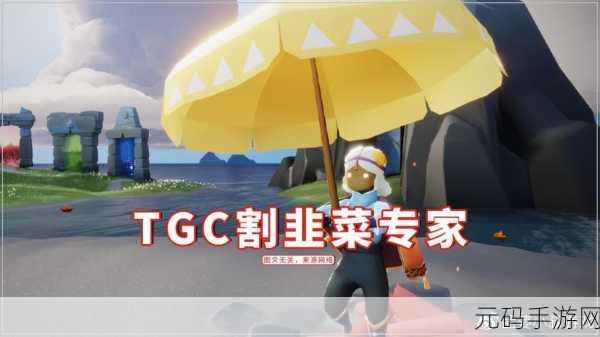 手游资讯,光遇黄色雨伞获取方式与价格详解