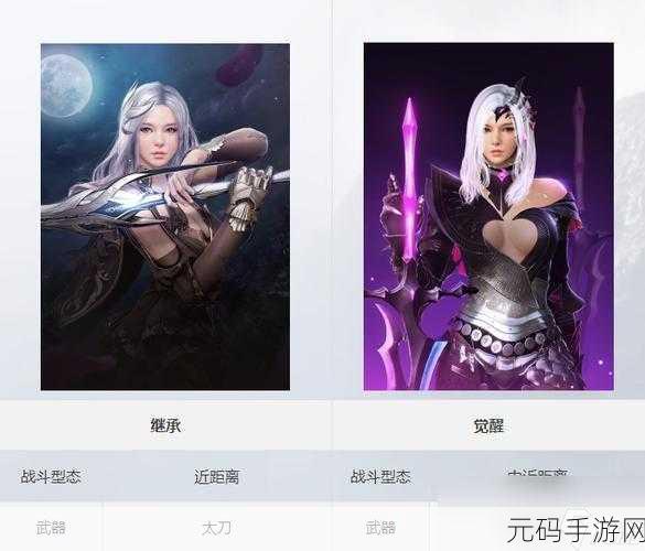黑色沙漠手游职业推荐2024,全面解析与攻略