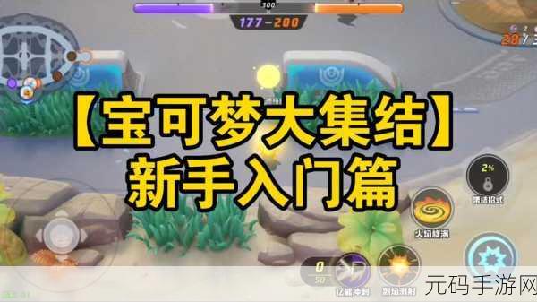 宝可梦大集结新手入门全攻略,掌握游戏精髓,开启冒险之旅