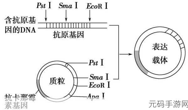 深入探究，SQL Implode 的限制条件全解析