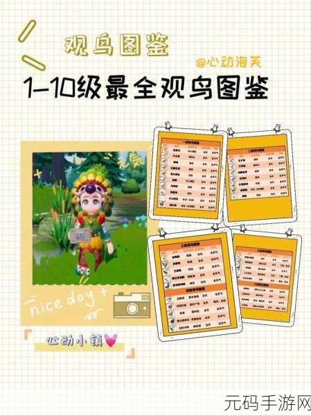 心动小镇观鸟爱好解锁全攻略