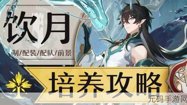 崩坏星穹铁道饮月双色阵容深度解析与玩法指南
