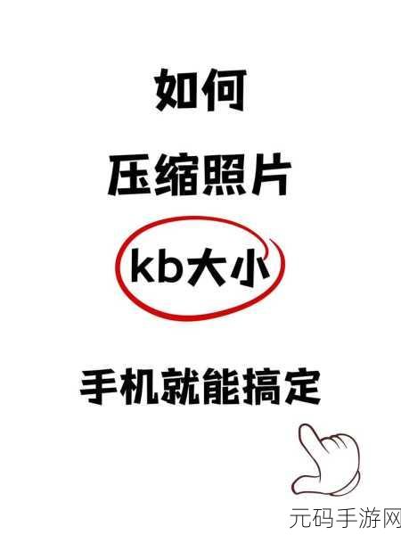 轻松掌握!WPS 图片缩小秘籍大公开