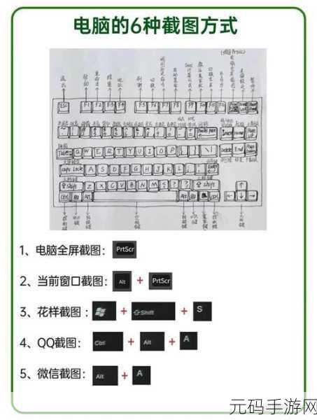 轻松掌握,WPS 绘制键盘组合键秘籍