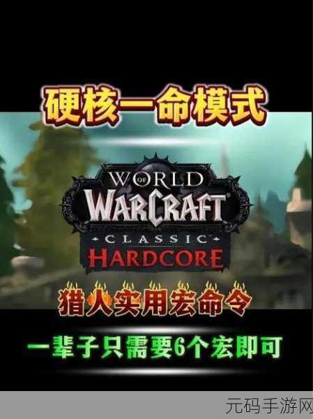 魔兽世界怀旧服猎人误导宏命令使用全攻略