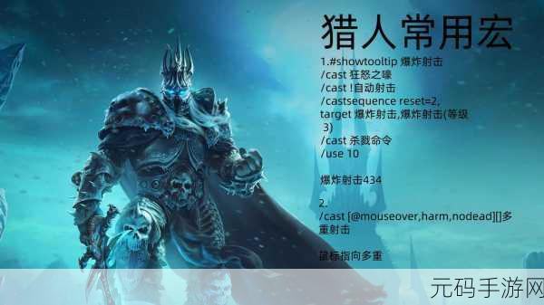 魔兽世界怀旧服猎人误导宏命令使用全攻略