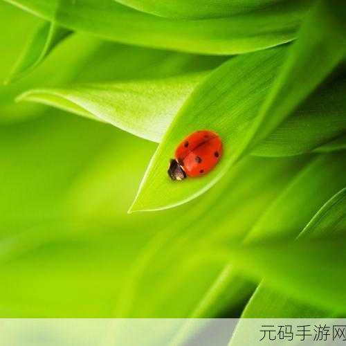 WPS 表格护眼模式切换秘籍,背景浅绿色随心变