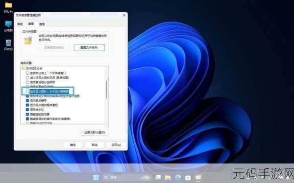 Win11 资源管理器搜索大升级,优化秘籍全解析