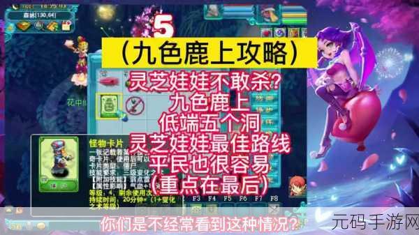 梦幻西游手游九色鹿下副本深度攻略与最新资讯