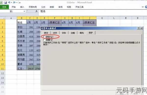 Excel 公式保护秘籍,拒绝随意修改