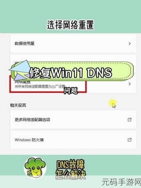 轻松搞定!Win11 加密 DNS 地址及服务器全攻略