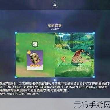 原神雕琢童心掠影拾真第三天拍照地点全攻略