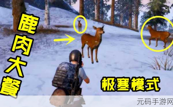 手游资讯,揭秘刺激战场中小鹿的隐藏功能与解锁方式