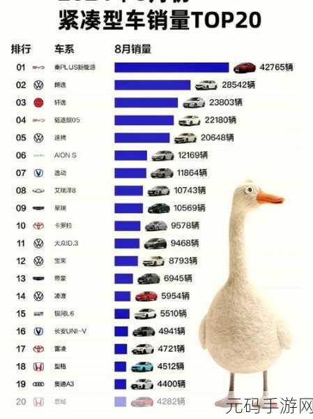 销量大揭秘,汇总与占比全知道