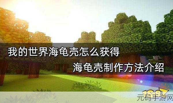 我的世界海龟蛋获取方法全解析