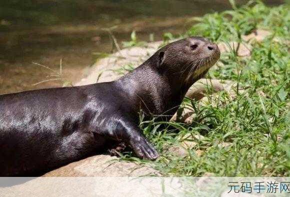 辐射76巨獭位置全揭秘,探索阿巴拉契亚的庞大生物