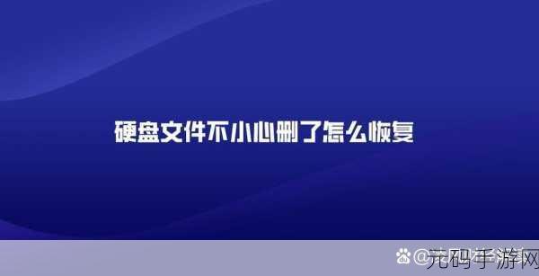 电脑本地磁盘 D 误删恢复秘籍大揭秘