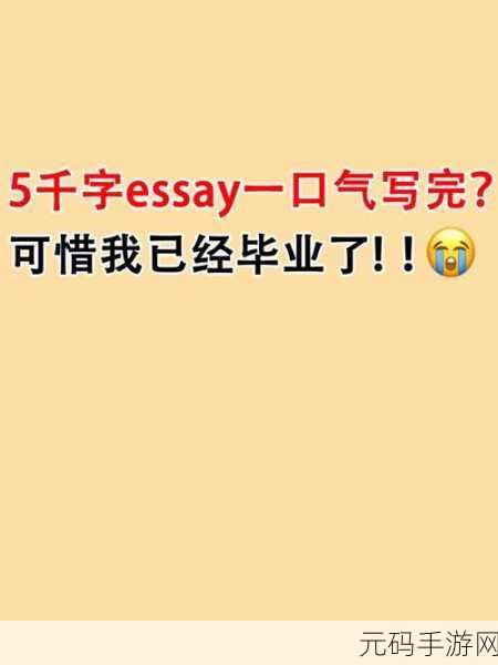 Win11 打不开 txt 文件?别慌,看这里的解决秘籍!