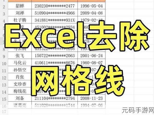 轻松搞定 Excel 表格网格线去除难题