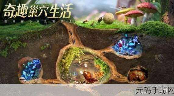 小小蚁国手游搬砖全攻略