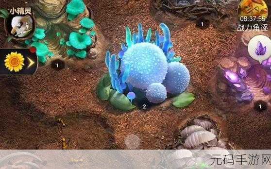 小小蚁国手游搬砖全攻略