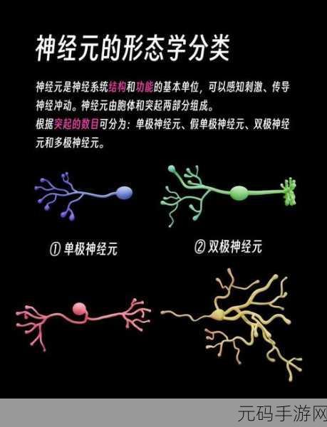 C属性与索引器的奇妙应用场景大揭秘