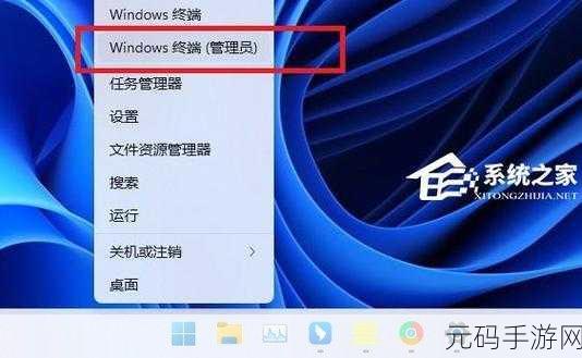 Win11 设备本地网络访问受限?破解秘籍在此!