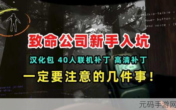 致命公司联机方法全攻略