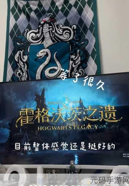 手游资讯,霍格沃茨之遗统统石化咒语使用技巧深度解析