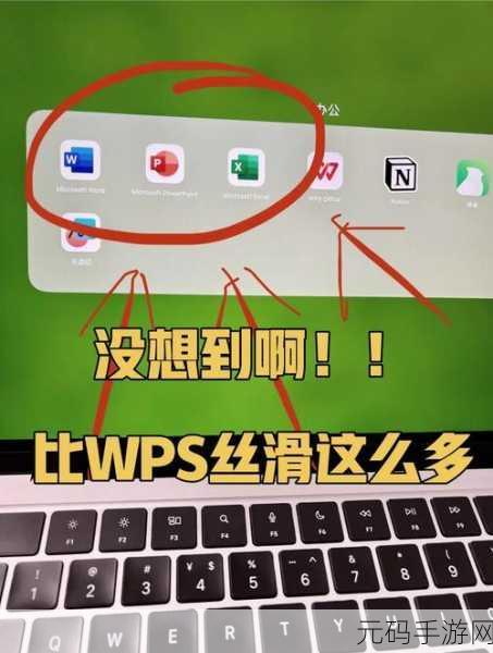神奇秘籍,WPS 文字中绽放花朵图片的制作之道