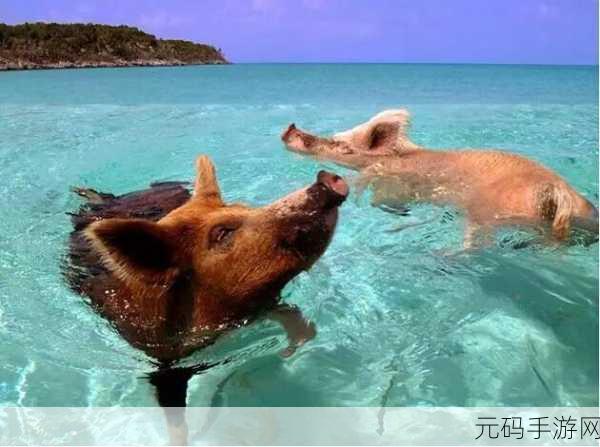 江湖十一海边小屋位置揭秘,探索武侠世界的隐秘角落
