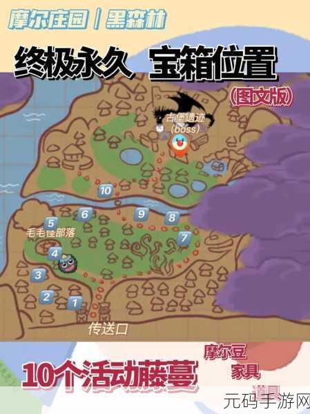 摩尔庄园手游黑森林宝箱全攻略,揭秘十大宝藏位置