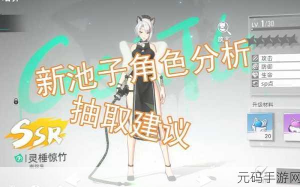 猫之城游戏攻略大全,新手入门全攻略,助你少走弯路