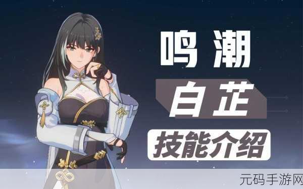 鸣潮2024兑换码大全及最新可用礼包码分享