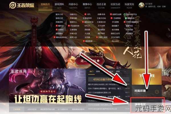 王者荣耀体验服申请入口全面指南,助你率先体验游戏新版本
