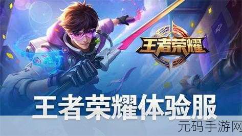 王者荣耀体验服申请入口全面指南,助你率先体验游戏新版本