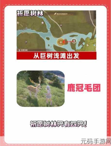 无限暖暖背带毛团萌动登场，全新宠物系统揭秘
