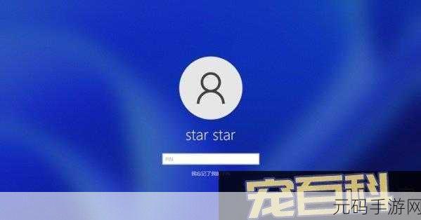 Win11 系统 PIN 码转圈难题的破解秘籍