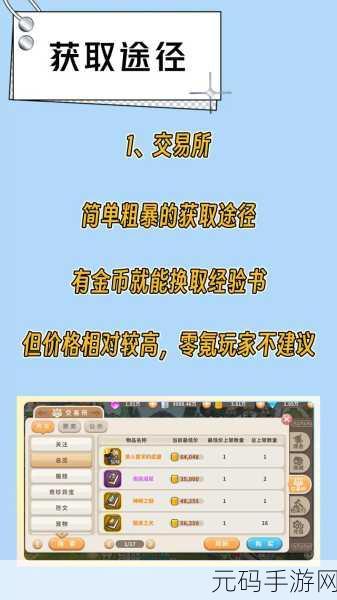 光明勇士学者攻略大全深度解读,揭秘新版本更新与学者职业崛起之路