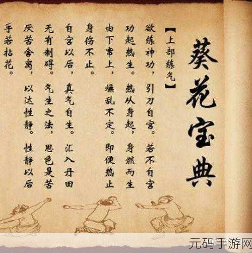 黑白魂刃手游新手攻略,解锁心法与武功的秘籍