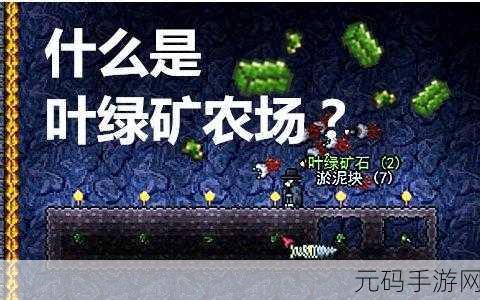 泰拉瑞亚叶绿矿种植技巧全解析，打造高效矿场的秘籍