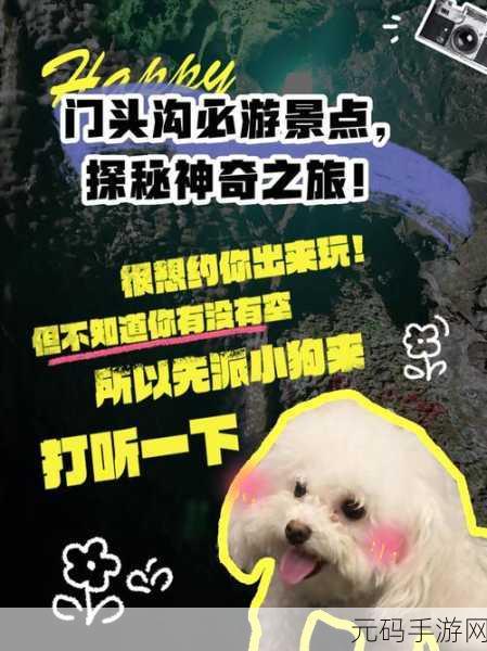 探秘 Zookeeper 命令行事务操作的神奇之旅