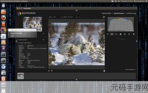 掌握 Darktable 图片格式调整秘籍