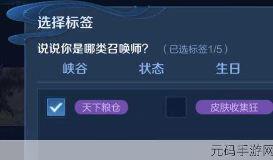 王者荣耀天下粮仓标签深度解析,赛季荣耀的象征