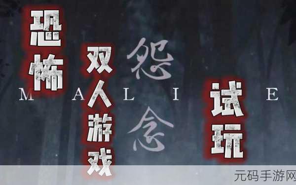 怨念Malice,双人同屏联机恐怖解谜新体验