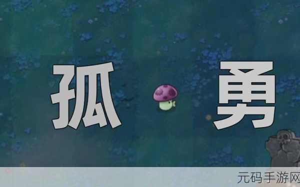 僵尸孤勇者新手入门全攻略，解锁游戏乐趣的钥匙