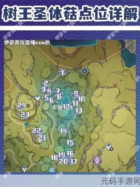 原神树王圣体菇采集地点全攻略